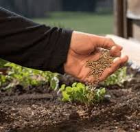 Organic Fertilizers
